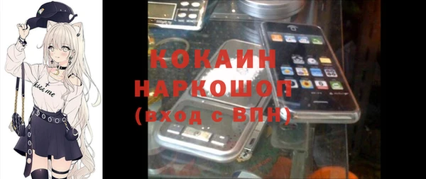 мдпв Богородск