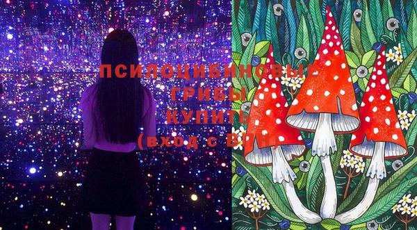 крисы Сосновка